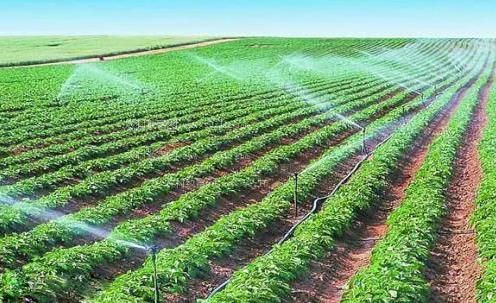 肏逼大片免费观看农田高 效节水灌溉